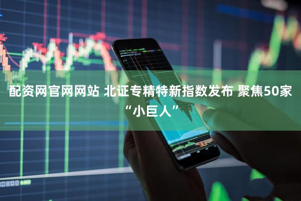 配资网官网网站 北证专精特新指数发布 聚焦50家“小巨人”