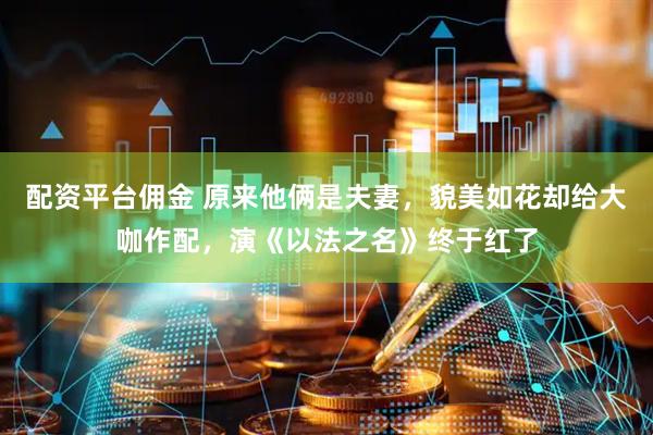 配资平台佣金 原来他俩是夫妻，貌美如花却给大咖作配，演《以法之名》终于红了
