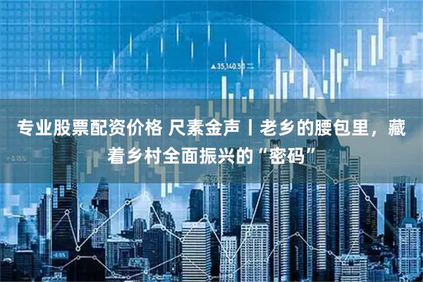 专业股票配资价格 尺素金声丨老乡的腰包里，藏着乡村全面振兴的“密码”